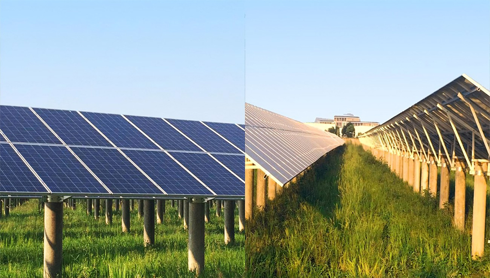 Solar panel in agriculture industry